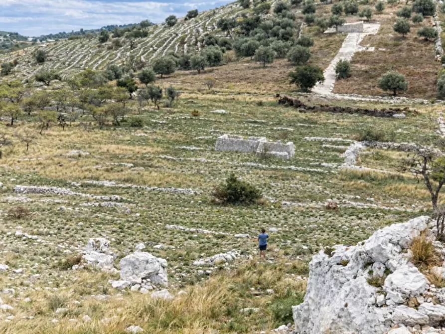 Immagine 3 di Terreno in vendita  a Avola
