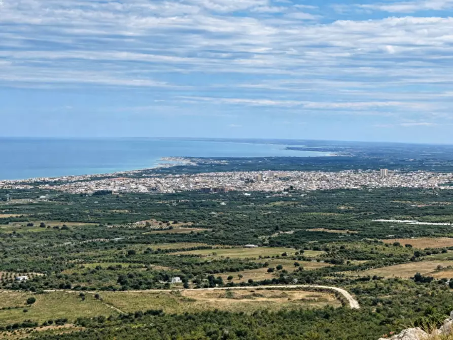 Immagine 5 di Terreno in vendita  a Avola