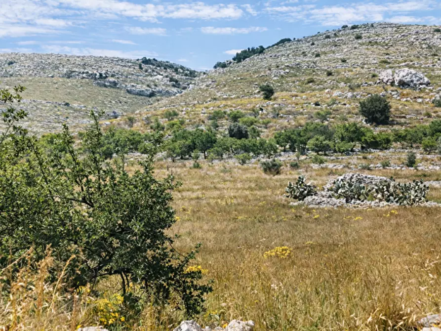 Immagine 6 di Terreno in vendita  a Avola