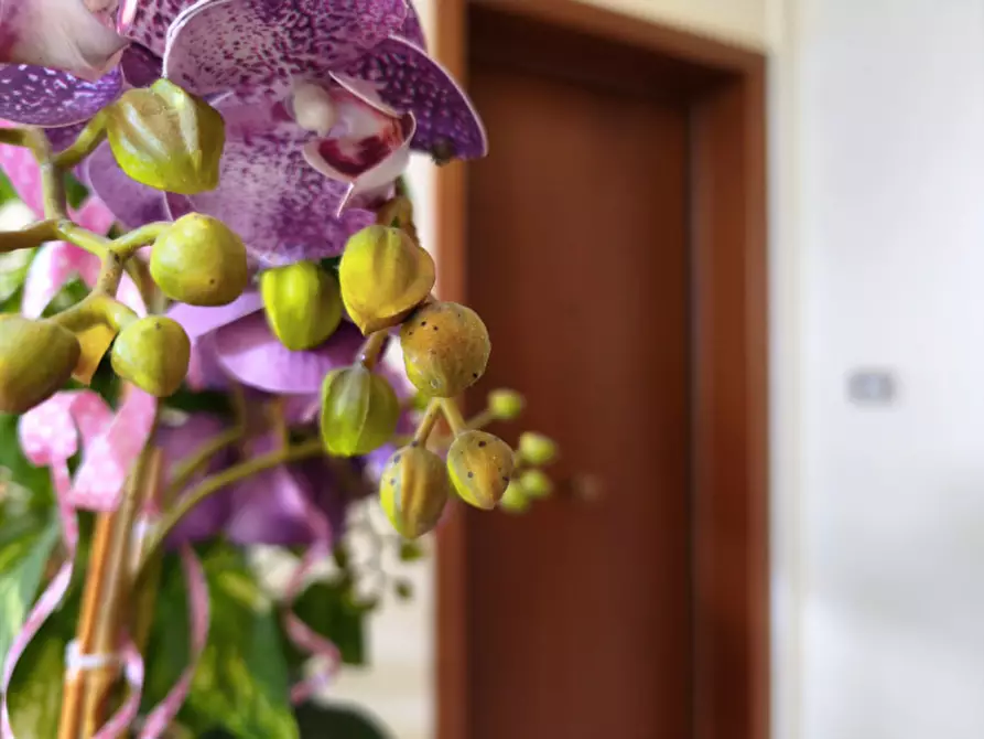 Immagine 33 di Attico in vendita  in Via Tolara di Sotto a Ozzano Dell'emilia