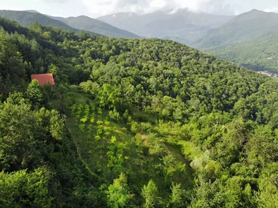 Immagine 1 di Casa indipendente in vendita  in Scagnello a Scagnello