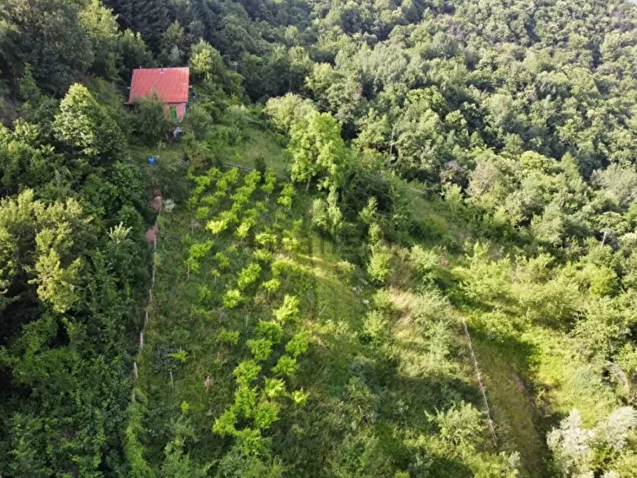 Immagine 2 di Casa indipendente in vendita  in Scagnello a Scagnello
