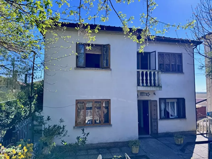 Immagine 3 di Casa indipendente in vendita  a Castelguglielmo