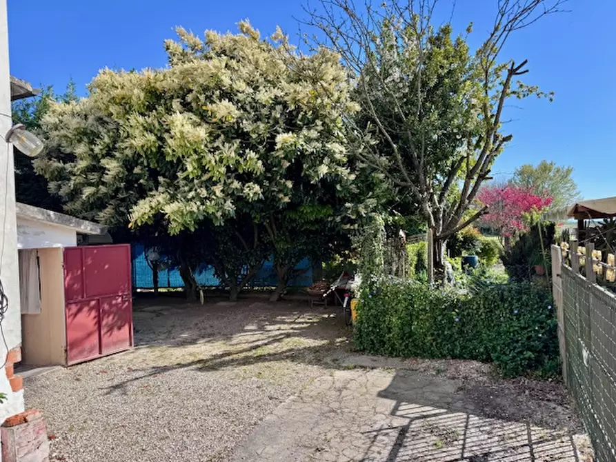 Immagine 10 di Casa indipendente in vendita  a Castelguglielmo