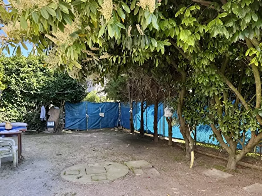 Immagine 13 di Casa indipendente in vendita  a Castelguglielmo