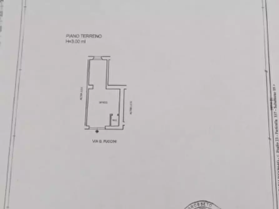 Immagine 5 di Negozio in vendita  a Capalbio