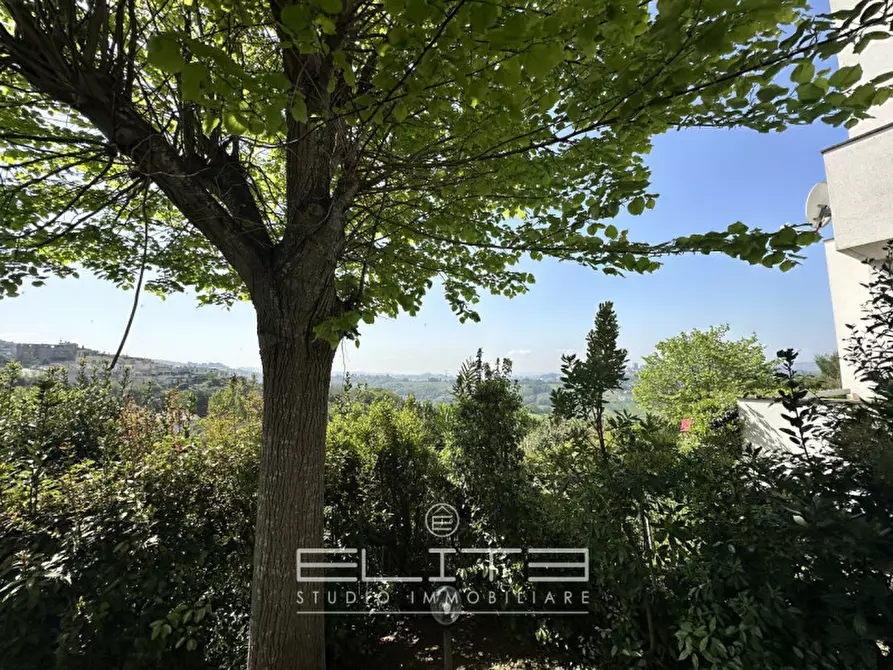 Immagine 16 di Appartamento in vendita  in CAGLI a Ancona