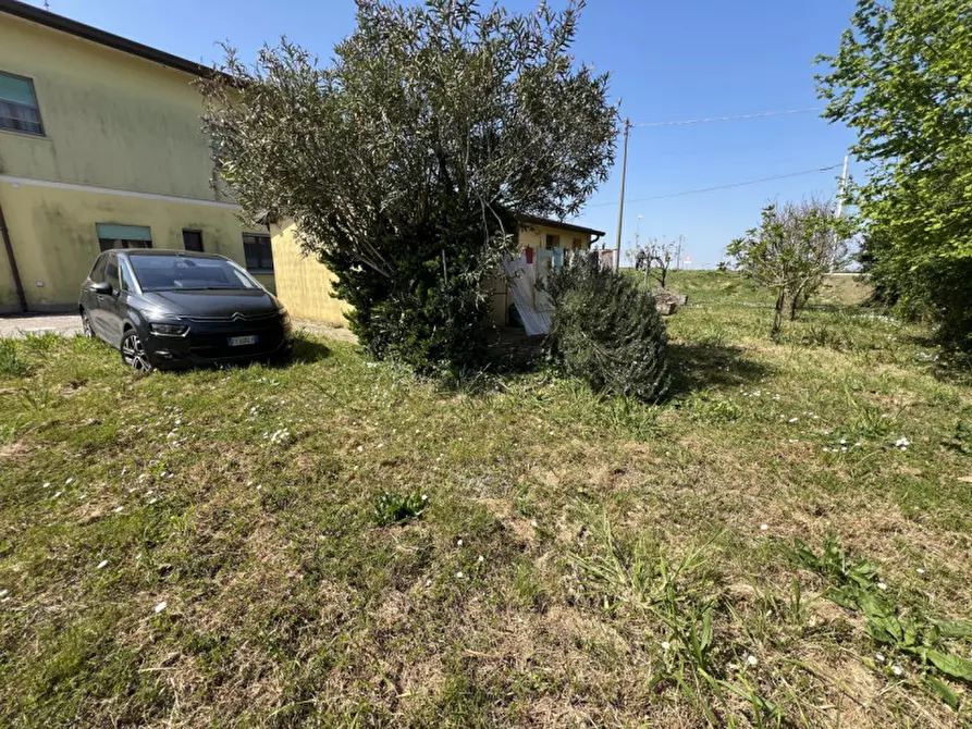 Immagine 9 di Appartamento in vendita  a Porto Tolle