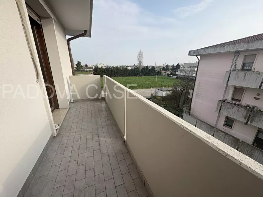 Immagine 24 di Appartamento in vendita  in via verona 12 a Albignasego