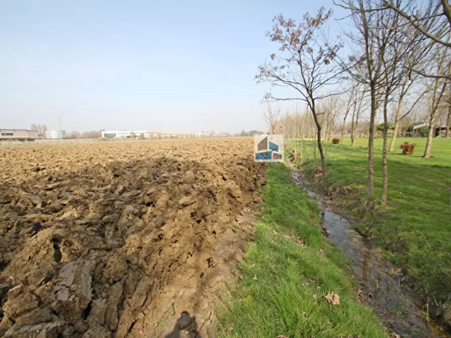 Immagine 3 di Terreno in vendita  in via bosco 8 a Pianiga