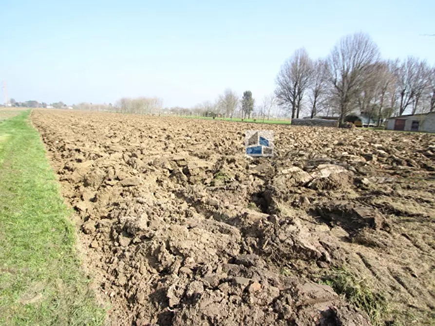 Immagine 5 di Terreno in vendita  in via bosco 8 a Pianiga