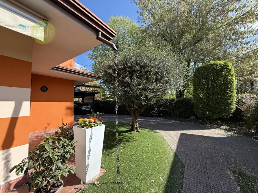 Immagine 4 di Casa bifamiliare in vendita  in via F. Bonvicini 33 a Legnago