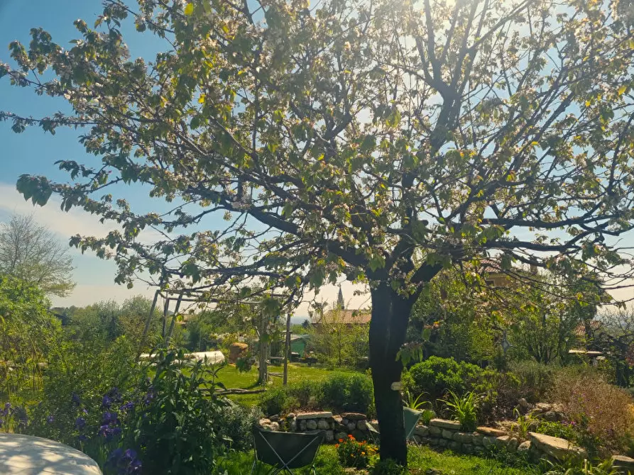 Immagine 5 di Villetta a schiera in vendita  a Pieve Del Grappa