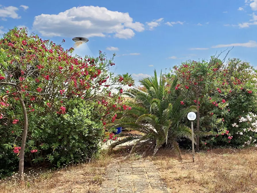 Immagine 22 di Hotel in vendita  in Via Tonnara Fontana, N. snc a Campobello Di Mazara