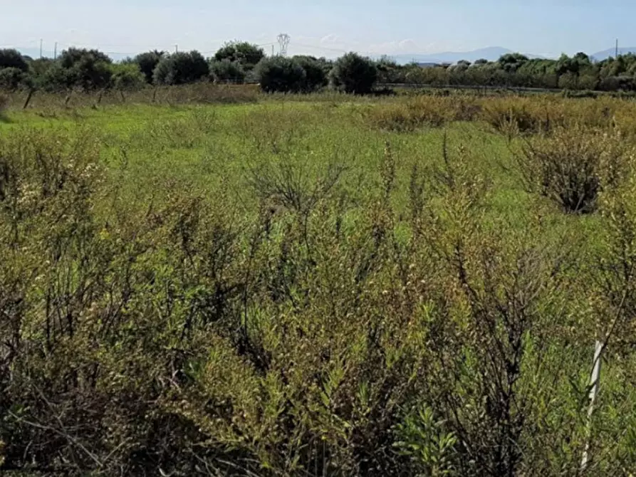 Immagine 6 di Terreno in vendita  in Via Nazionale, N. snc a Serrenti