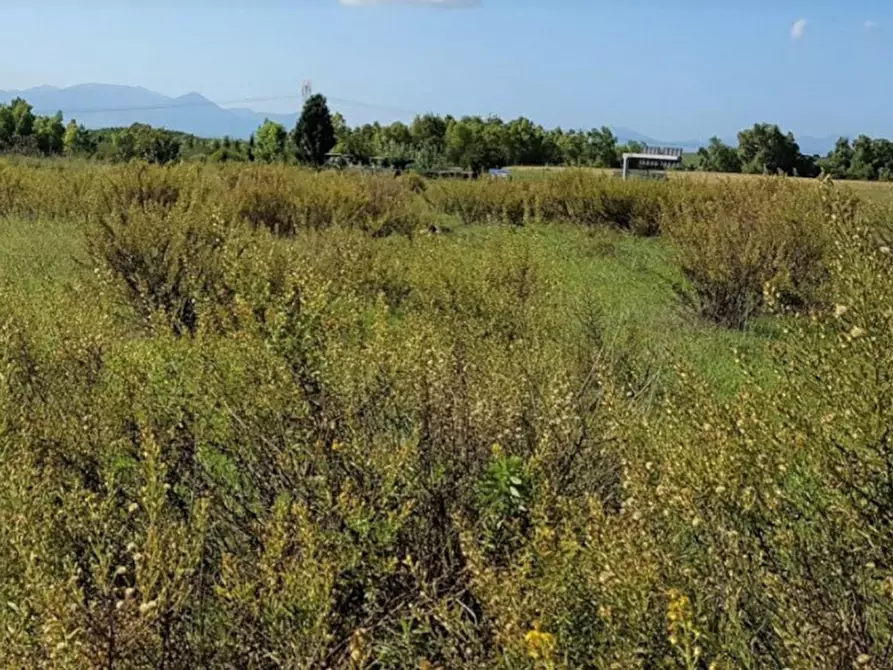 Immagine 7 di Terreno in vendita  in Via Nazionale, N. snc a Serrenti