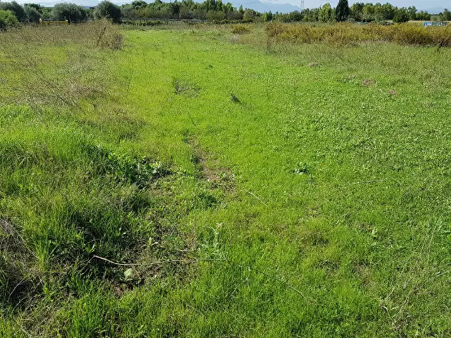 Immagine 17 di Terreno in vendita  in Via Nazionale, N. snc a Serrenti