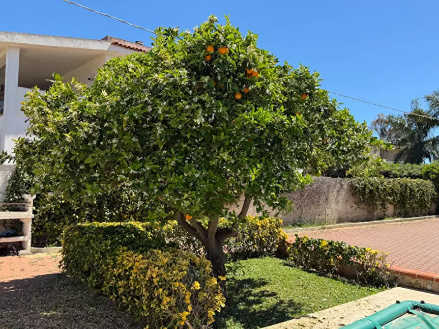 Immagine 74 di Villa in vendita  in Via Lido Sacramento 35 a Siracusa