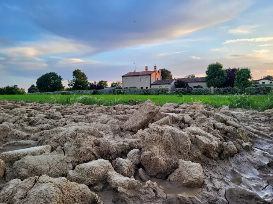 Immagine 2 di Casa indipendente in vendita  a Salzano