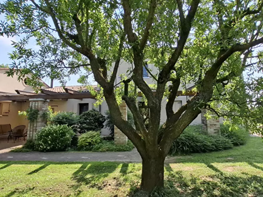 Immagine 12 di Casa indipendente in vendita  a Salzano
