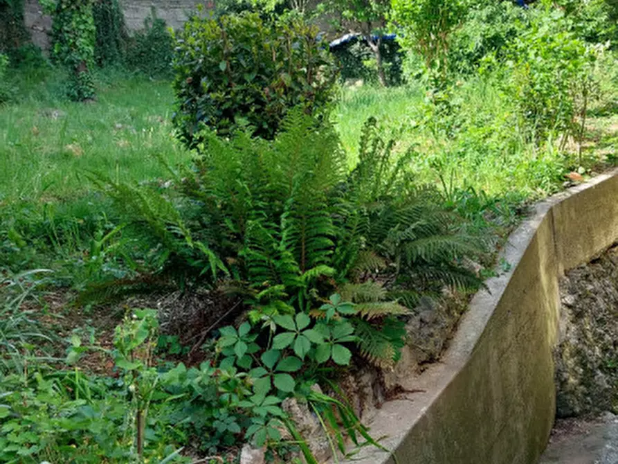 Immagine 3 di Casa indipendente in vendita  in Via Colderuga a Longare
