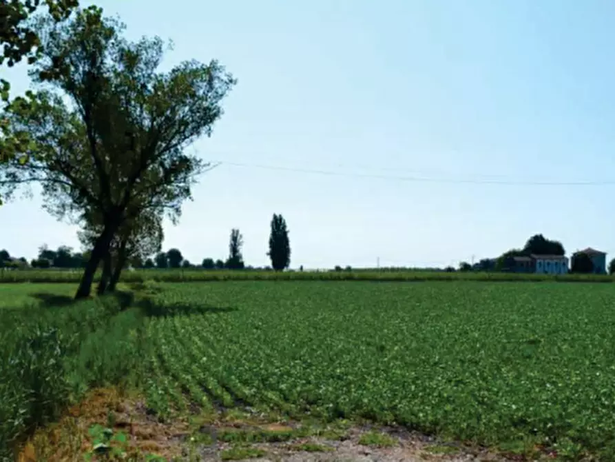 Immagine 1 di Terreno in vendita  in Via Marola a Villa Bartolomea
