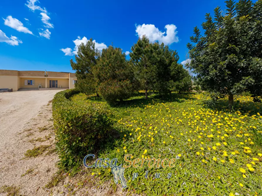 Immagine 4 di Villa in vendita  in Via Spartifeudo Fuma a Alezio