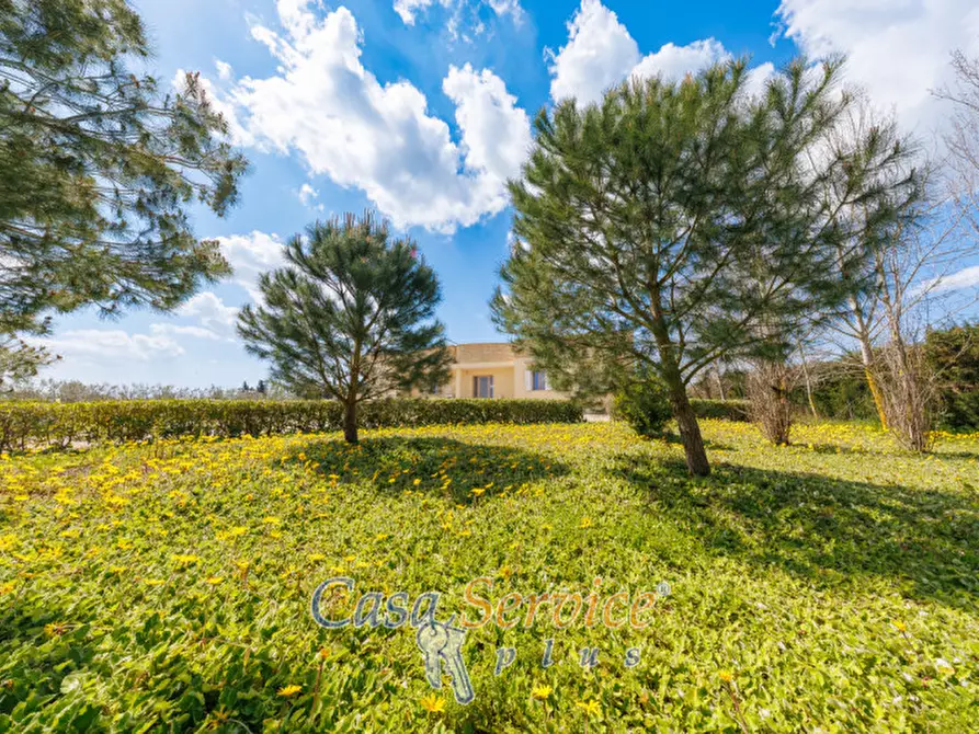 Immagine 17 di Villa in vendita  in Via Spartifeudo Fuma a Alezio