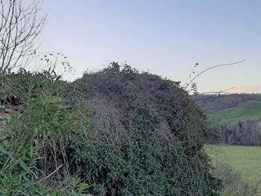 Immagine 5 di Villa in vendita  in CONTRADA PINTURA DEL GRILLO SNC - 62010 Cessapalombo (MC) a Cessapalombo