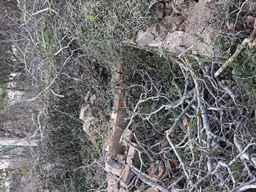 Immagine 7 di Villa in vendita  in CONTRADA PINTURA DEL GRILLO SNC - 62010 Cessapalombo (MC) a Cessapalombo