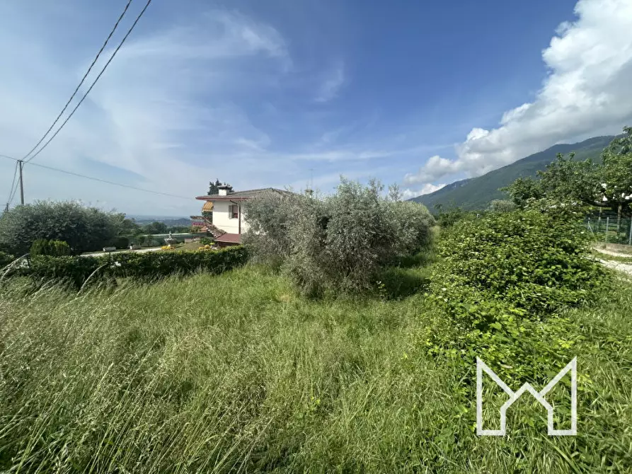 Immagine 2 di Terreno in vendita  a Pieve Del Grappa