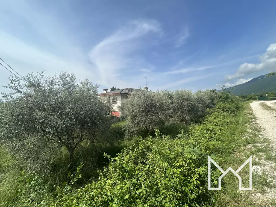 Immagine 3 di Terreno in vendita  a Pieve Del Grappa