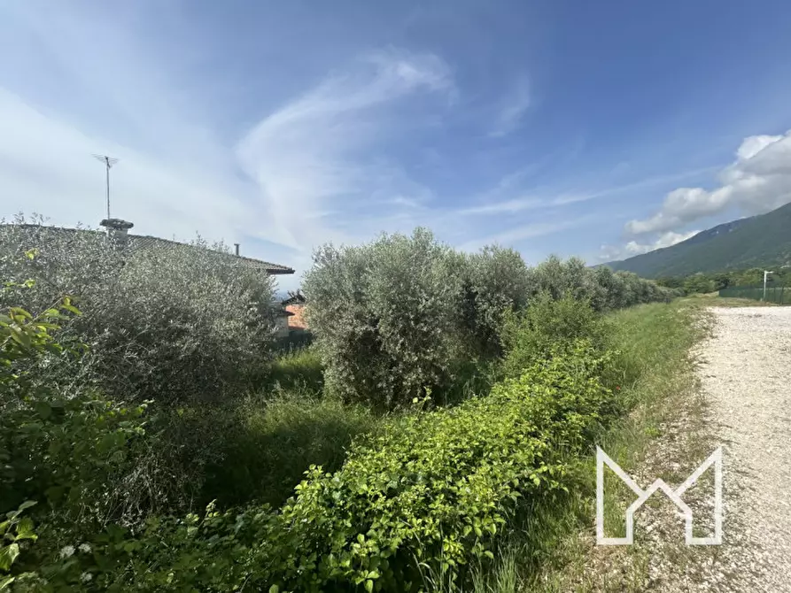 Immagine 4 di Terreno in vendita  a Pieve Del Grappa