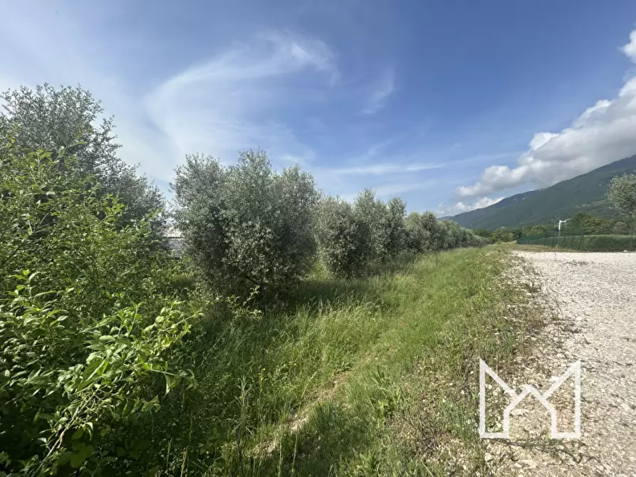 Immagine 5 di Terreno in vendita  a Pieve Del Grappa