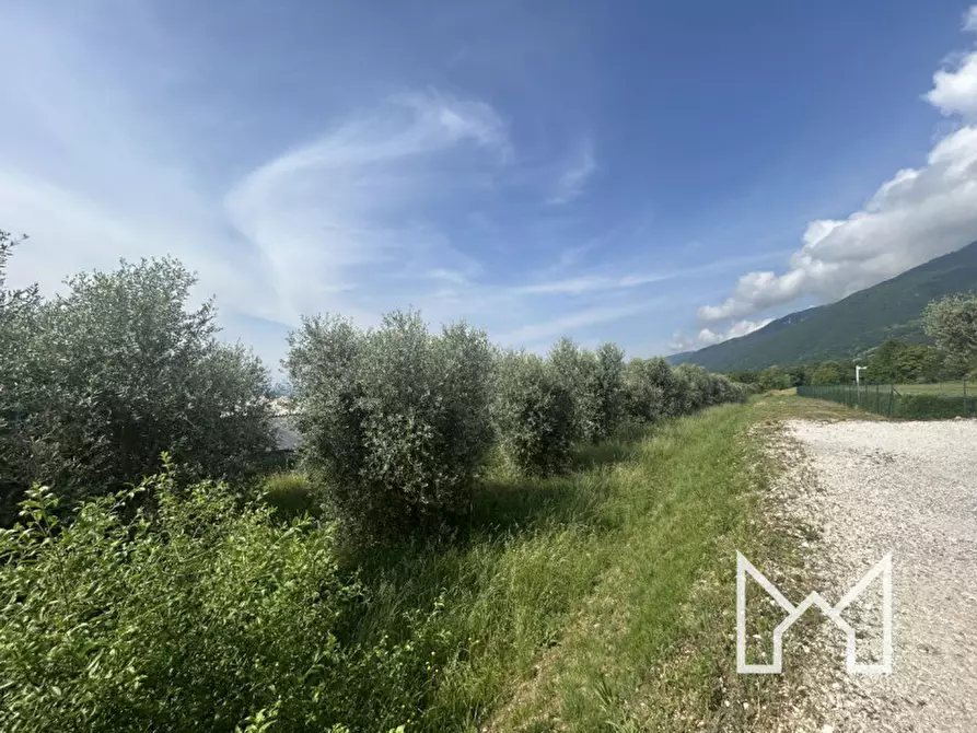 Immagine 6 di Terreno in vendita  a Pieve Del Grappa
