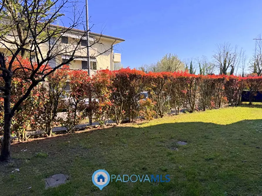 Immagine 1 di Appartamento in vendita  in Via Italo Svevo a Vigodarzere