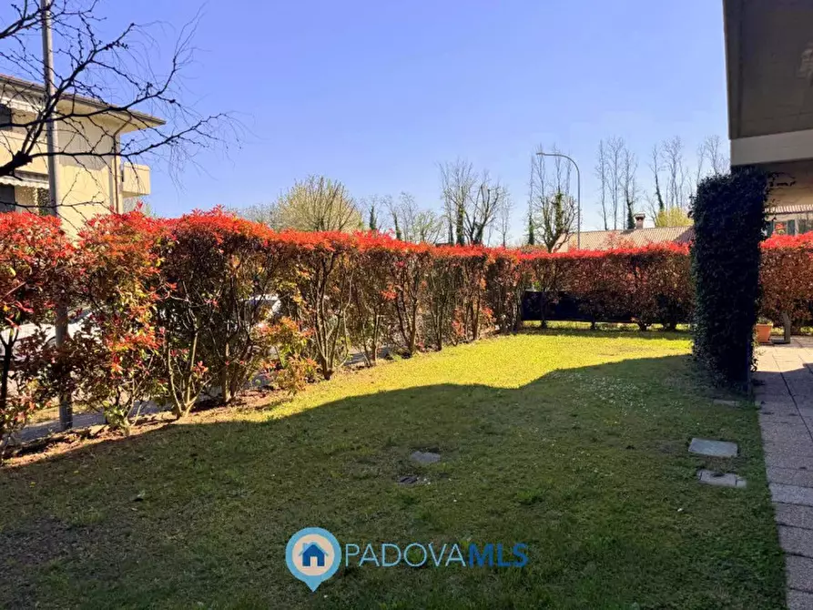 Immagine 2 di Appartamento in vendita  in Via Italo Svevo a Vigodarzere