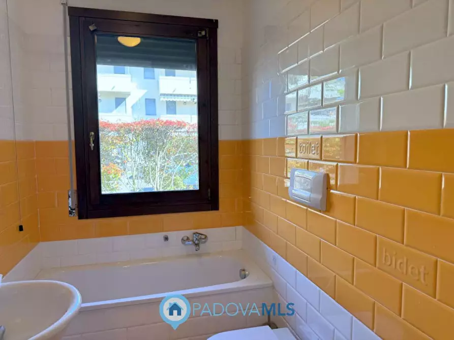 Immagine 7 di Appartamento in vendita  in Via Italo Svevo a Vigodarzere