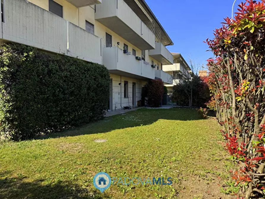 Immagine 18 di Appartamento in vendita  in Via Italo Svevo a Vigodarzere