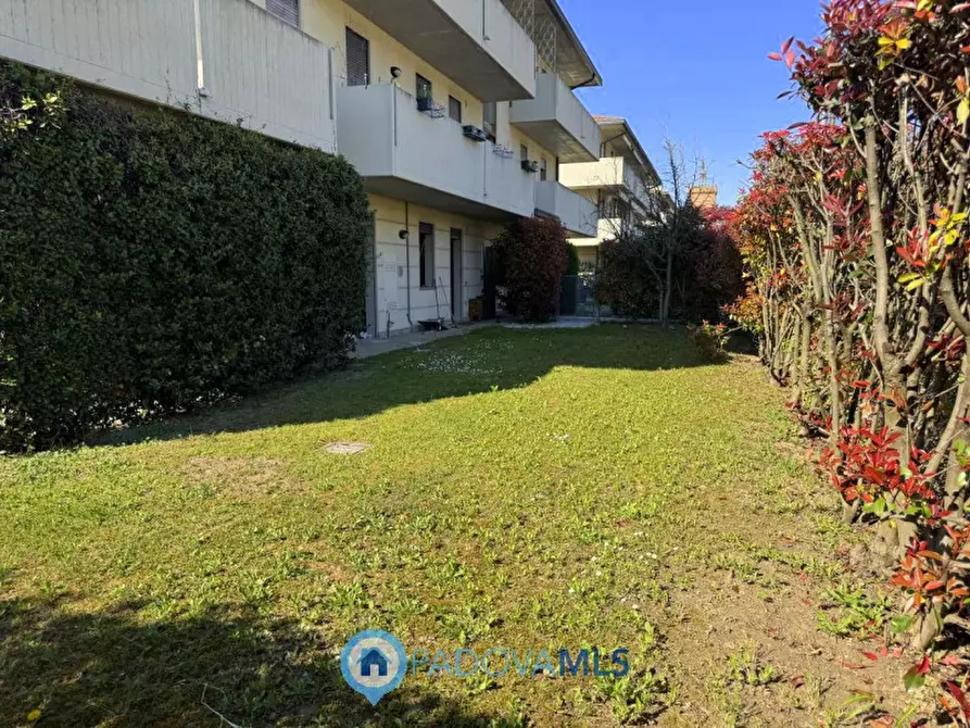 Immagine 19 di Appartamento in vendita  in Via Italo Svevo a Vigodarzere