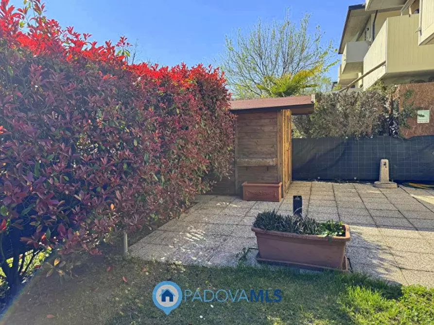 Immagine 20 di Appartamento in vendita  in Via Italo Svevo a Vigodarzere