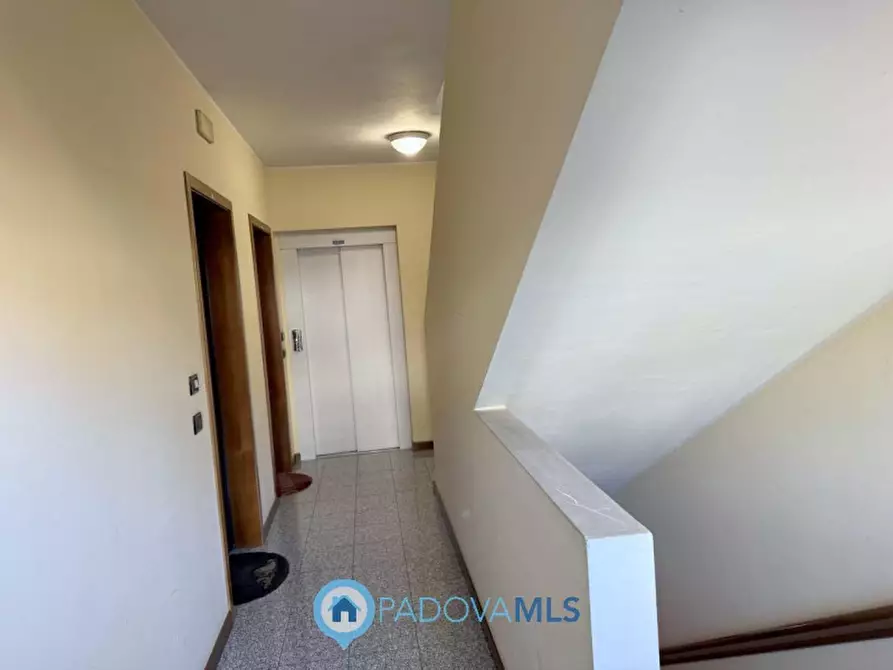Immagine 43 di Appartamento in vendita  in Via Italo Svevo a Vigodarzere