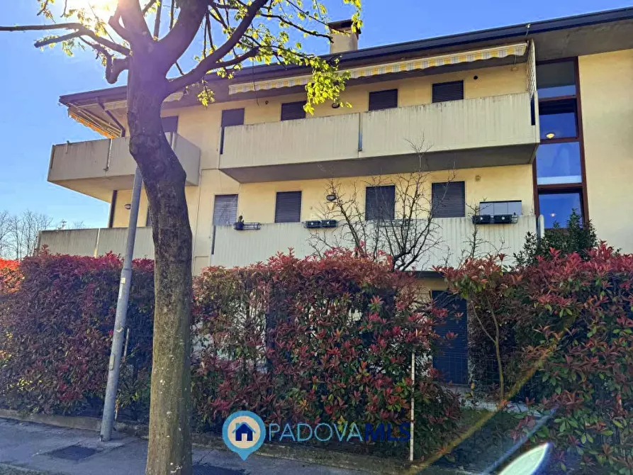 Immagine 47 di Appartamento in vendita  in Via Italo Svevo a Vigodarzere