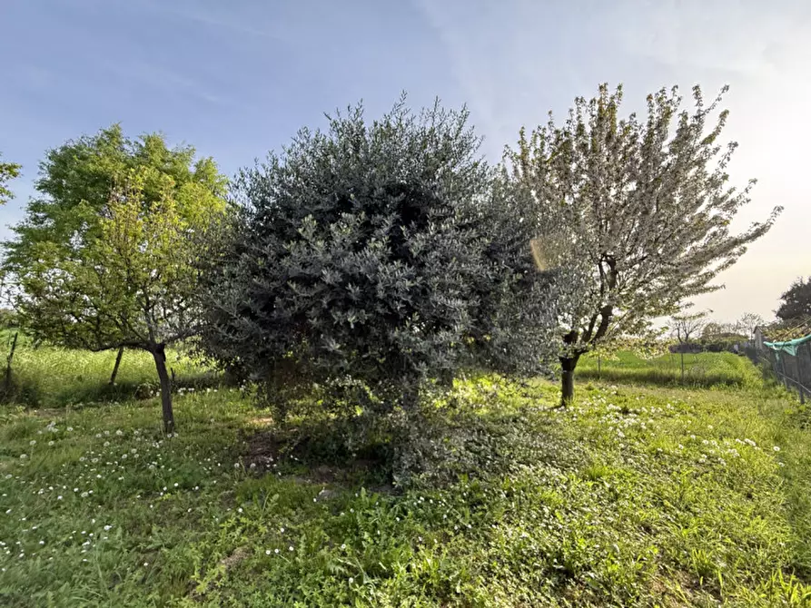 Immagine 17 di Villetta a schiera in vendita  in Via Valbona a Lozzo Atestino