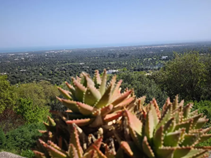 Immagine 2 di Villa in vendita  in Via Vecchia di Laureto a Fasano