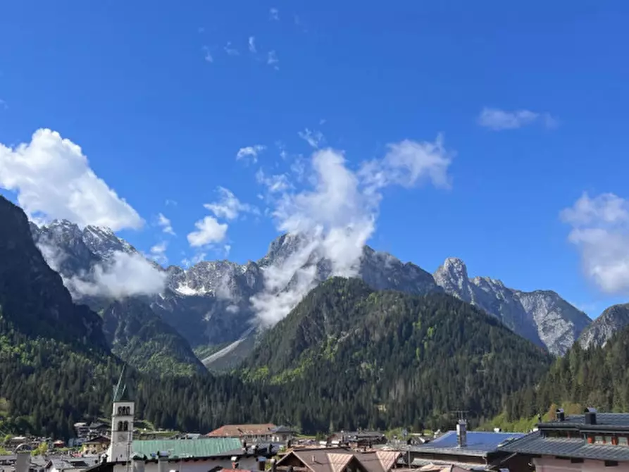 Immagine 7 di Appartamento in vendita  in Via Federa a Santo Stefano Di Cadore