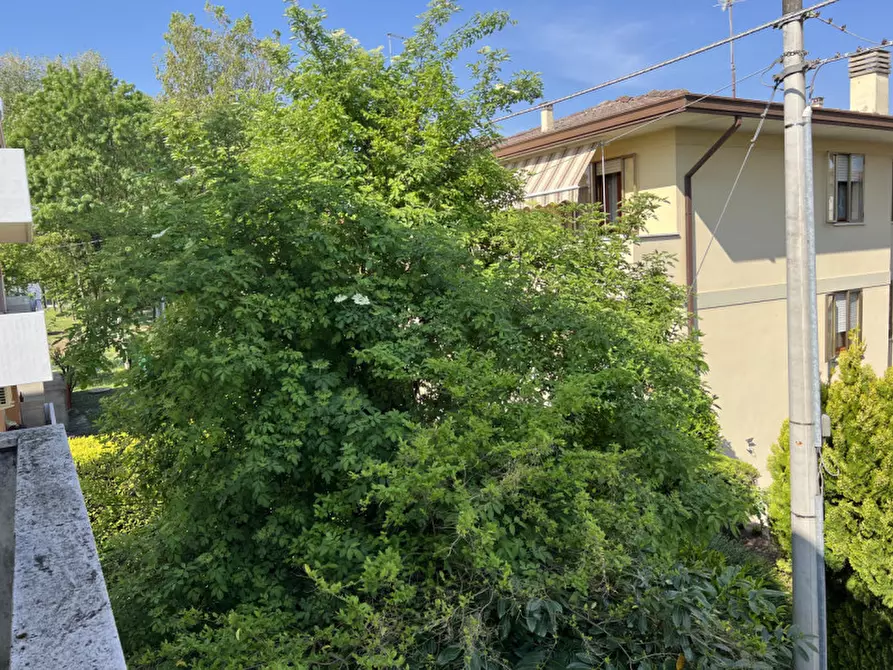 Immagine 15 di Appartamento in vendita  in via Giacomo Puccini, 14 a Conselve