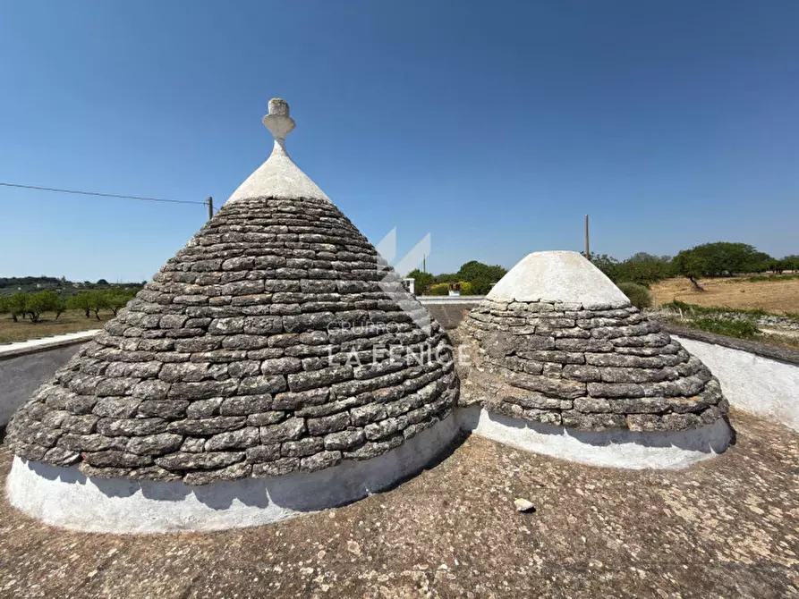 Immagine 22 di Rustico / casale in vendita  in Strada Rospano a Martina Franca