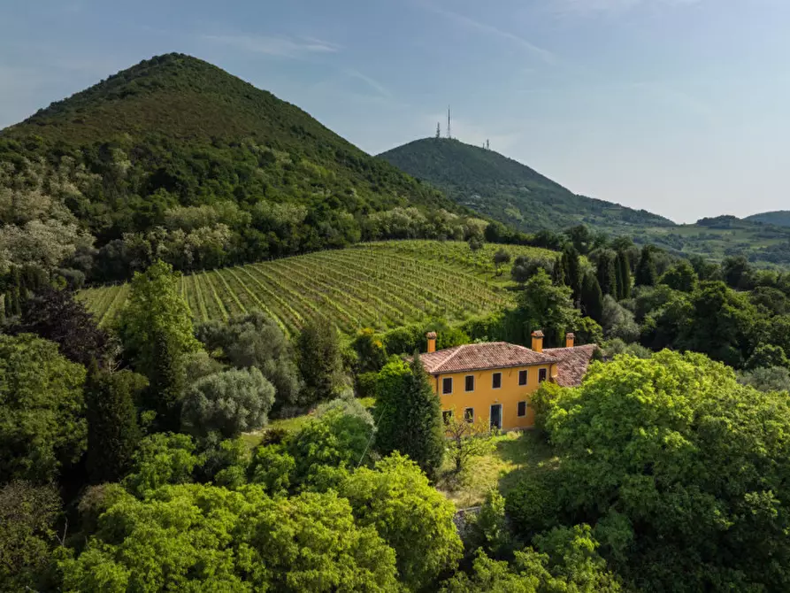 Immagine 1 di Rustico / casale in vendita  in VIA SASSONI a Cinto Euganeo