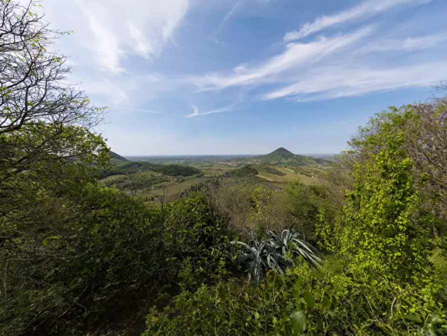 Immagine 5 di Rustico / casale in vendita  in VIA SASSONI a Cinto Euganeo